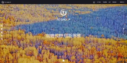 TC GROUP