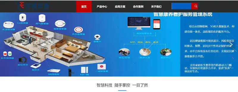 华睿致诚科技(信息智能可视化建设领域专家)