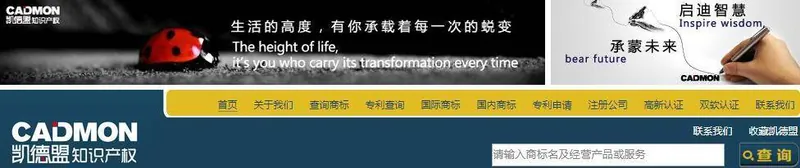 凯德盟知识产权