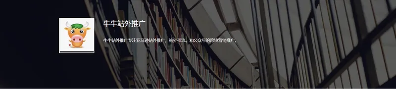 牛牛站外推广