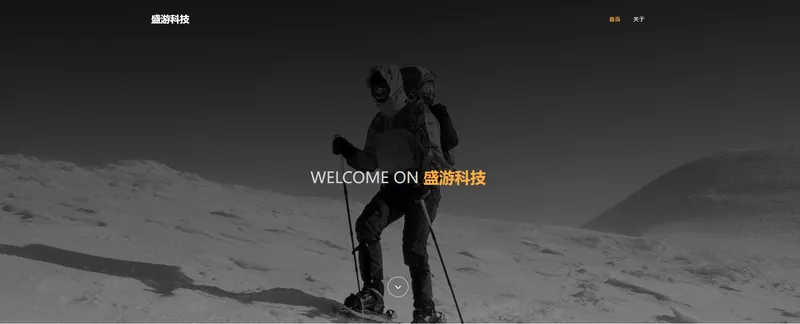 盛游科技