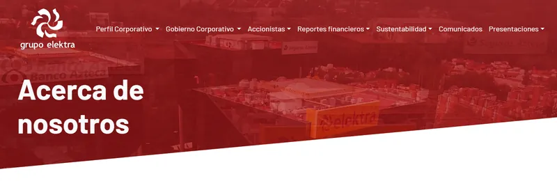 Grupo Elektra