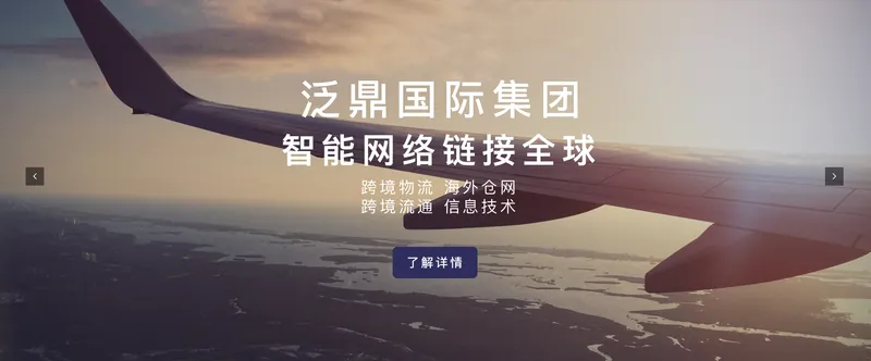 泛鼎国际集团