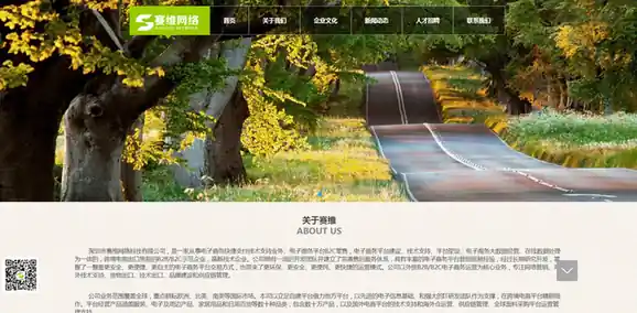 赛维网络科技有限公司