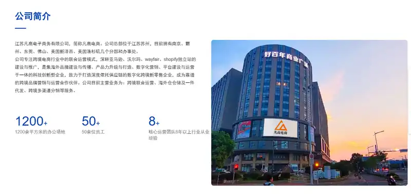 凡高电商